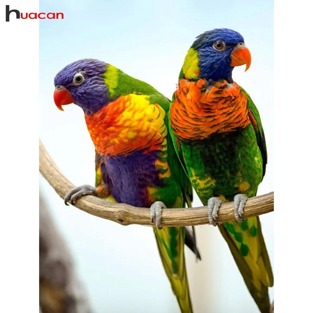 Huacan DIY Diamond Embroidery Sale Animal Mosaic Rhinestones Handwork Diamond Painting Birds Full Round Drill Kit Home Decor
Huacan DIY Diamond Embroidery Sale Animal Mosaic Rhinestones Handwork Diamond Painting Birds Full Round Drill Kit Home Decor
