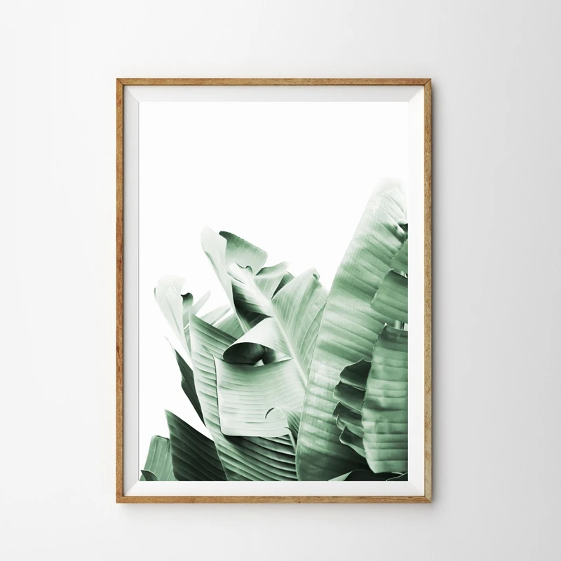 Banana Leaf Canvas Print Living Room Decor
