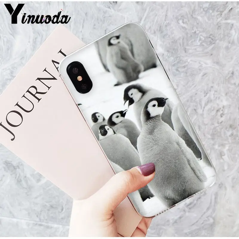 The Penguins of Madagascar