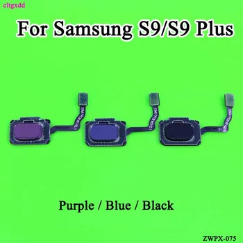 cltgxdd For Samsung S9 G960F S9 plus G965F Fingerprint Scanner Sensor Connector Flex Cable Assembly Fixing Part Replacement
cltgxdd For Samsung S9 G960F S9 plus G965F Fingerprint Scanner Sensor Connector Flex Cable Assembly Fixing Part Replacement