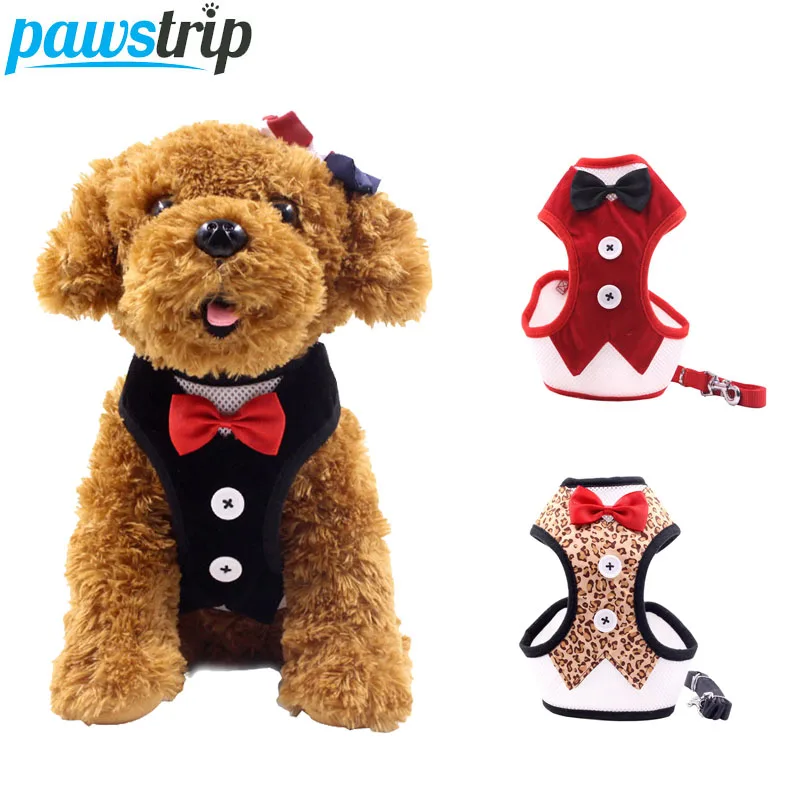 pawstrip Cute Bow Dog Harness Vest Mesh Breathable Nylon Dog Leash Pet Walking Harness And Leash Set For Small Dogs
pawstrip Cute Bow Dog Harness Vest Mesh Breathable Nylon Dog Leash Pet Walking Harness And Leash Set For Small Dogs