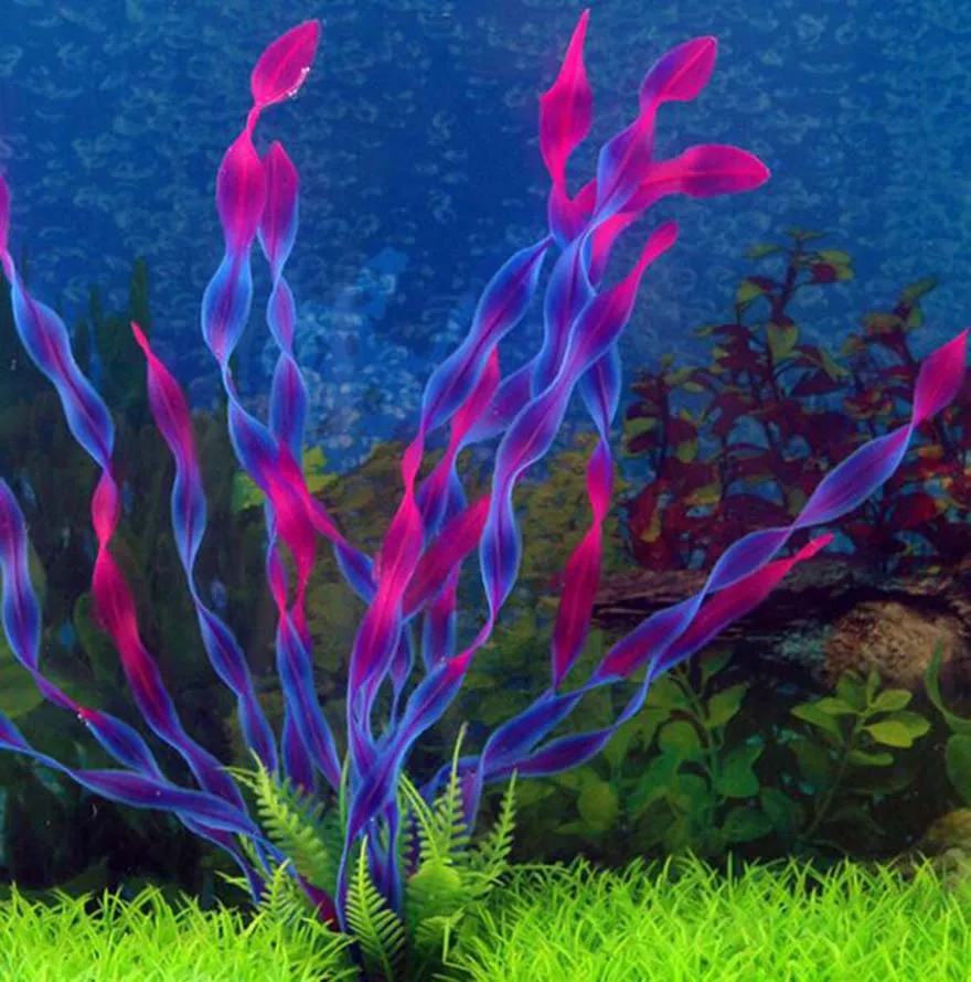 Decor Water Grass Fish Weed Aquarium Ornament Fresh Tank Plastic Decor Plant
Decor Water Grass Fish Weed Aquarium Ornament Fresh Tank Plastic Decor Plant