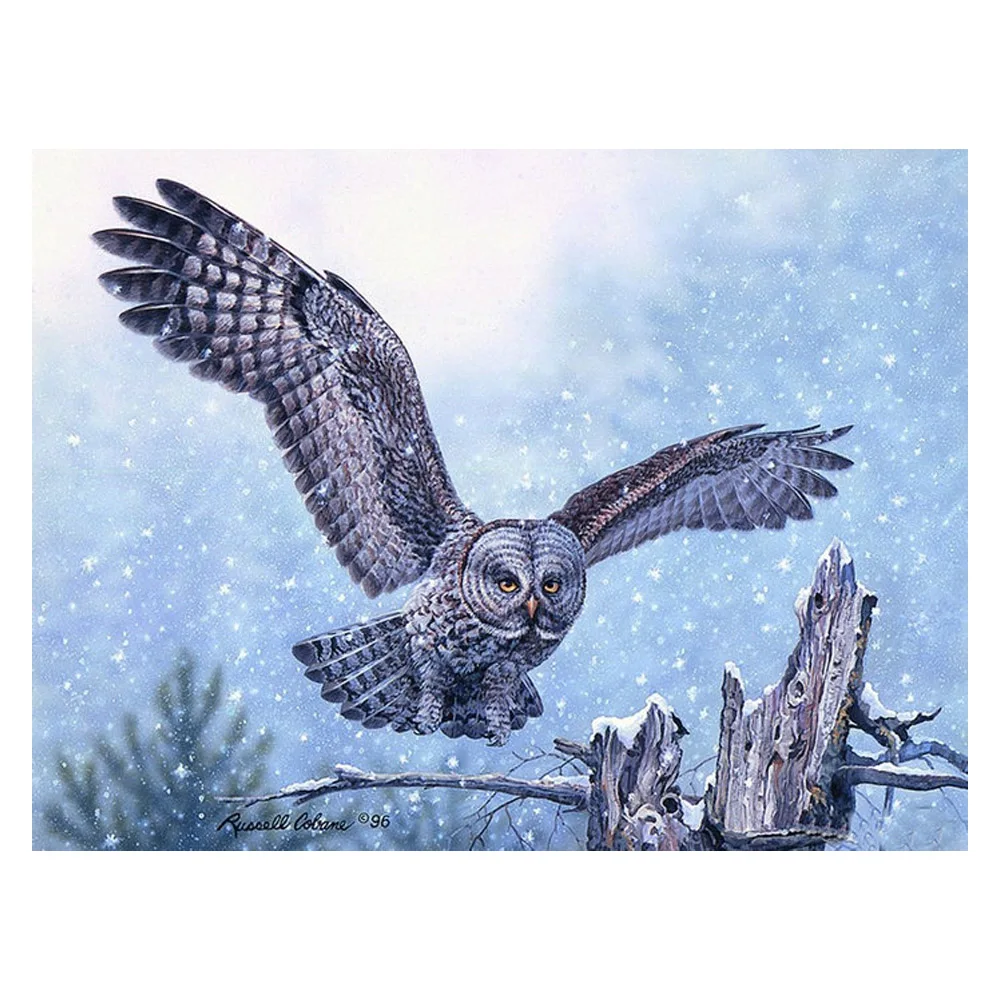 Diamond Embroidery Owl Diamond Mosaic DIY Rhinestones Picture Diamond Painting Cross Stitch Animal Sale Needle Gifts F277
Diamond Embroidery Owl Diamond Mosaic DIY Rhinestones Picture Diamond Painting Cross Stitch Animal Sale Needle Gifts F277