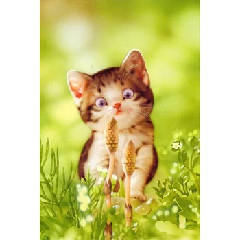 Diamond Painting Special cute kitten Full drill Mosaic DIY Diamond Painting Cross Stitch Embroidery Home Decorative Craft
Diamond Painting Special cute kitten Full drill Mosaic DIY Diamond Painting Cross Stitch Embroidery Home Decorative Craft