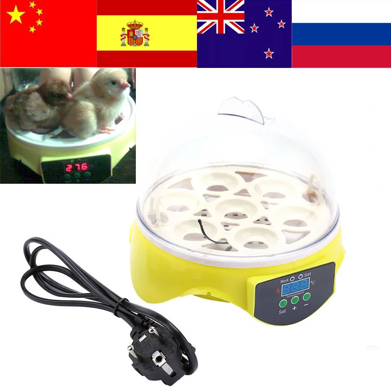 Mini Digital 7 Egg incubator Poultry Chicken Duck Bird Pigeon Hatch Tool Kit Digital Temperature Hatchery Egg Incubator Hatcher
Mini Digital 7 Egg incubator Poultry Chicken Duck Bird Pigeon Hatch Tool Kit Digital Temperature Hatchery Egg Incubator Hatcher