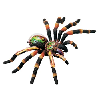 4D Master puzzle assembling toy animal biological spider organ anatomy medicine teaching model
4D Master puzzle assembling toy animal biological spider organ anatomy medicine teaching model