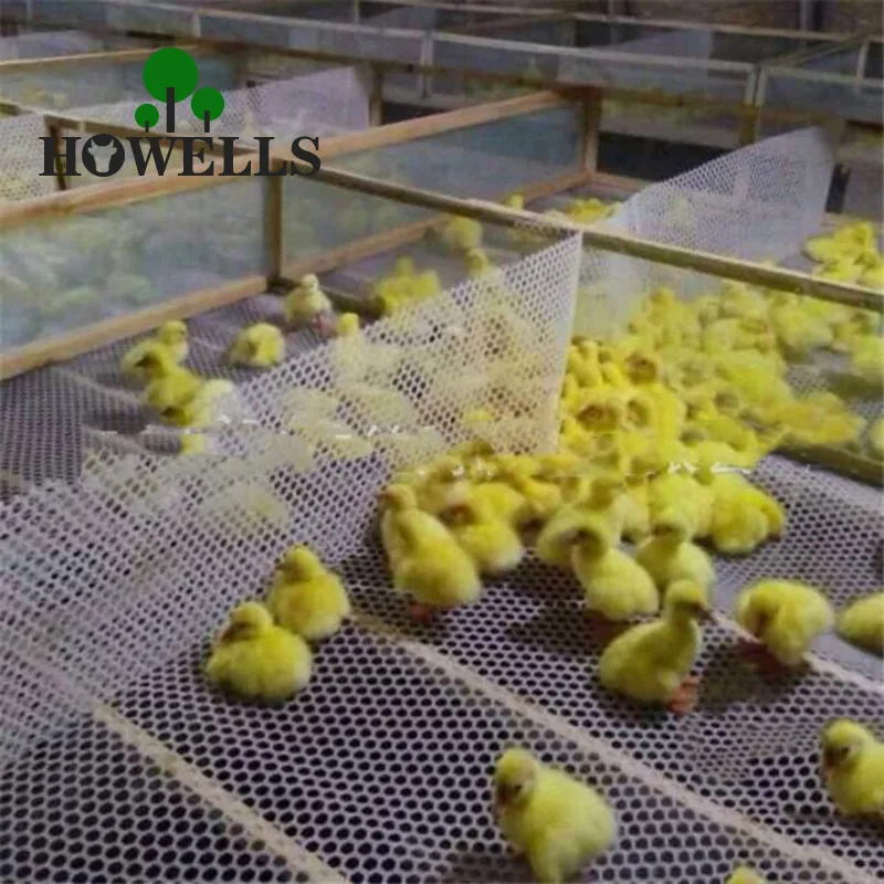 Chicken Cage Pad Feet Defoaming Board Plastic Net Breed Poultry Chickens Leakage Fecal Network Plastic Mesh
Chicken Cage Pad Feet Defoaming Board Plastic Net Breed Poultry Chickens Leakage Fecal Network Plastic Mesh