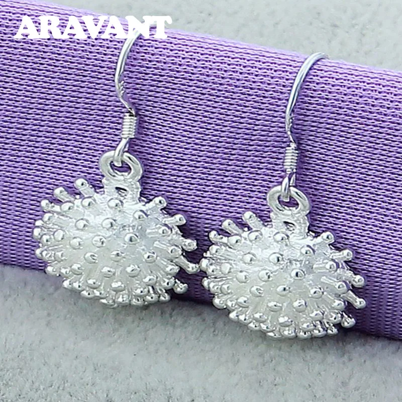 Dangle Earring For Women 925 Silver Jewelry Luxury Firework Drop Earring Women Earrings Jewelry
Dangle Earring For Women 925 Silver Jewelry Luxury Firework Drop Earring Women Earrings Jewelry