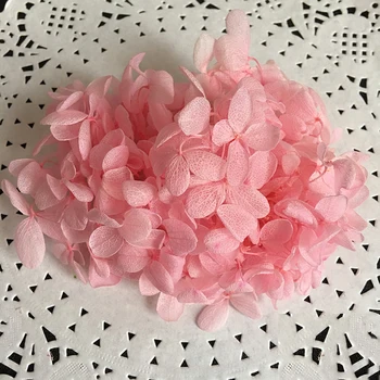 Preserved Flower DIY Decoration Christmas Gifts Long Time Lasting Preserved Hydrangea Valentine's Day
Preserved Flower DIY Decoration Christmas Gifts Long Time Lasting Preserved Hydrangea Valentine's Day