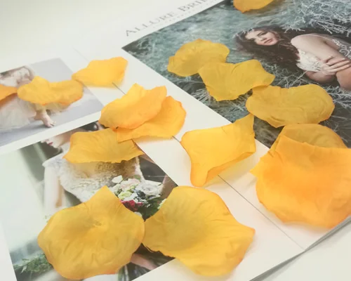 1000pcs Orange Artificial Silk Rose Flower Petals Wedding Favor Accessories Party Event Decoration Table Scatters Window Decor
1000pcs Orange Artificial Silk Rose Flower Petals Wedding Favor Accessories Party Event Decoration Table Scatters Window Decor
