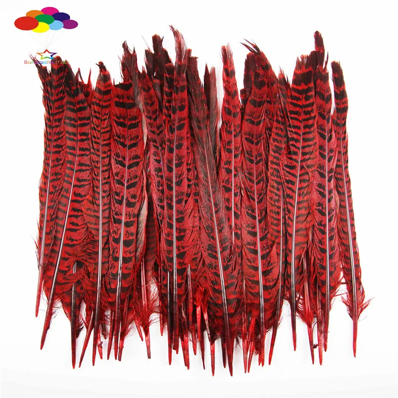 Z&Q&Y 100 Natural 25-30CM (10-12 Inches) Mt. Feathertail Feather Red DIY Accessories Party Stage Performance Equipment
Z&Q&Y 100 Natural 25-30CM (10-12 Inches) Mt. Feathertail Feather Red DIY Accessories Party Stage Performance Equipment