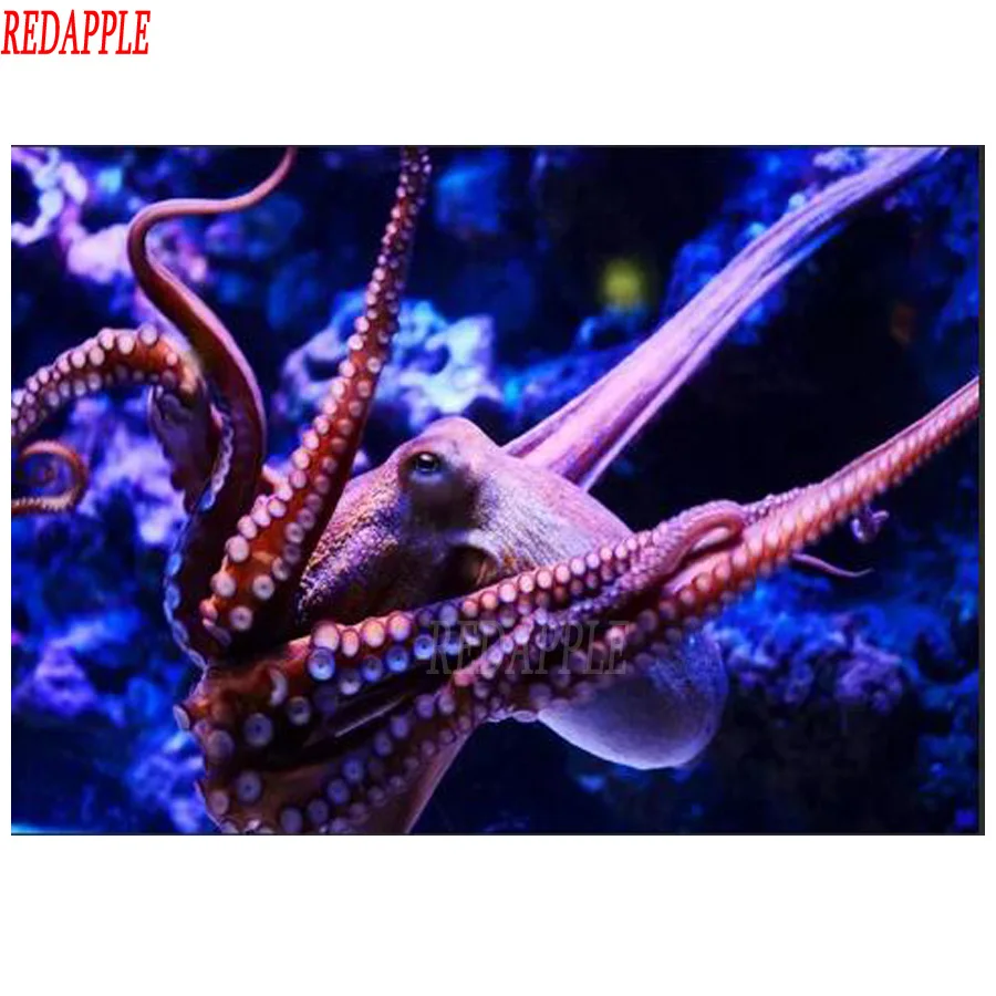 5D Diamond Mosaic Diy Embroidery Full Square octopus animal 3d Cross Stitch Kit Painting hobby handcraft | Дом и сад