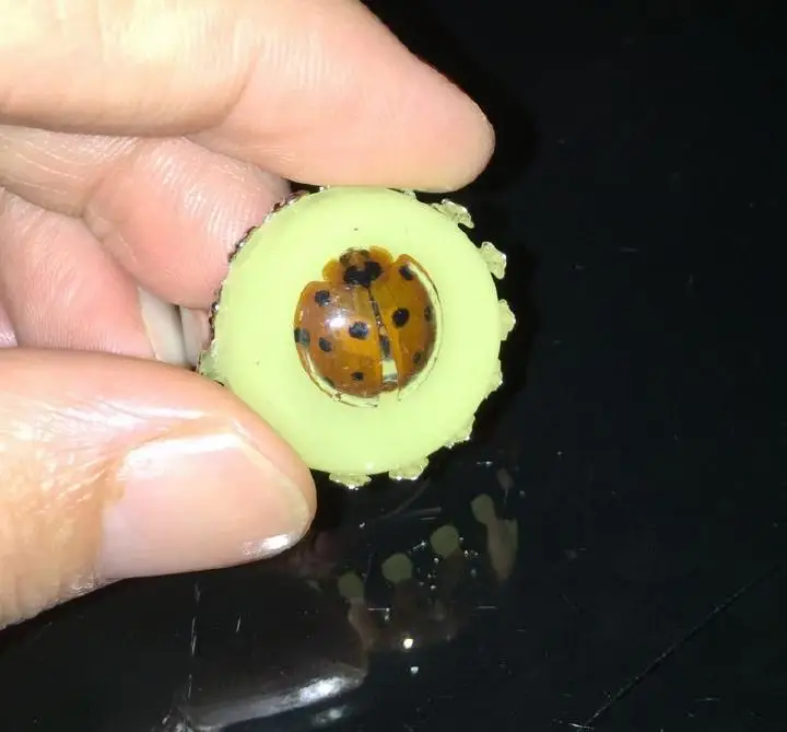 

FREE SHIPPING 10 pcs Vintage Lovely glow in the dark real yellow ladybird chic ring