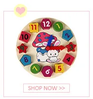 children brain teaser wooden