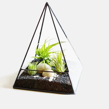 Geometric Style Tabletop Glass Terrarium Window Sill Box Succulent Flowerpot Pyramid Plants Container Planter Bonsai Flower Pot
Geometric Style Tabletop Glass Terrarium Window Sill Box Succulent Flowerpot Pyramid Plants Container Planter Bonsai Flower Pot