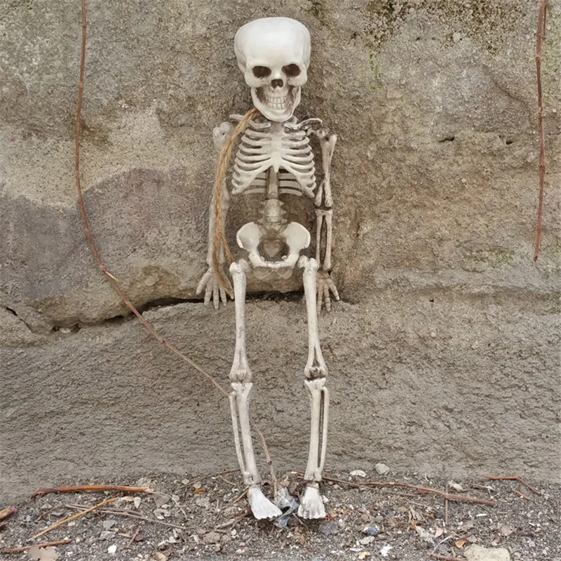 Small Size 30cm Skeleton 100% Plastic Halloween Props Grave Yards Hunted House Decorations
Small Size 30cm Skeleton 100% Plastic Halloween Props Grave Yards Hunted House Decorations
