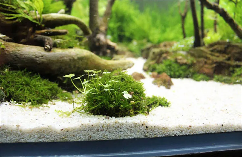 5cm Plastic Natural Mineral Aquatic Bio Moss Ball for Aquarium Crystal Red Shrimp House Fish Tank Decoration Mineral Balls5