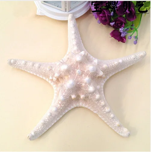 5pcs / lots sea star Natural crafts white bread sea shell starfish, fashion home decorative handicrafts free shipping
5pcs / lots sea star Natural crafts white bread sea shell starfish, fashion home decorative handicrafts free shipping