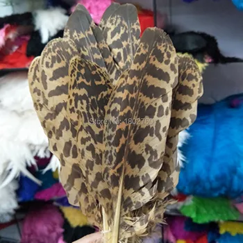 Wholesale a set(44 pcs) rare feather beautiful feathers long 7-10 inches / 18 to 25 cm stage performance decoration
Wholesale a set(44 pcs) rare feather beautiful feathers long 7-10 inches / 18 to 25 cm stage performance decoration