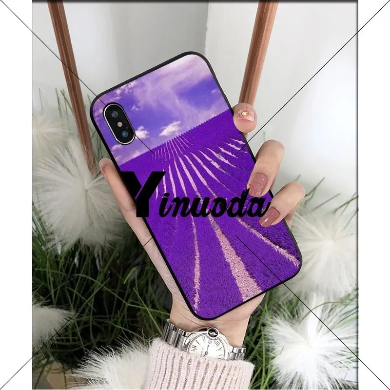 Simple lavender Purple flowers
