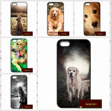 Golden Retriever Dog Pet Cover case for font b iphone b font 4 4s 5 5s