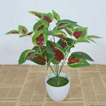 Potted plants and flowers green red flowers simulation wall decoration with wood decoration decoration flower bonsai
Potted plants and flowers green red flowers simulation wall decoration with wood decoration decoration flower bonsai