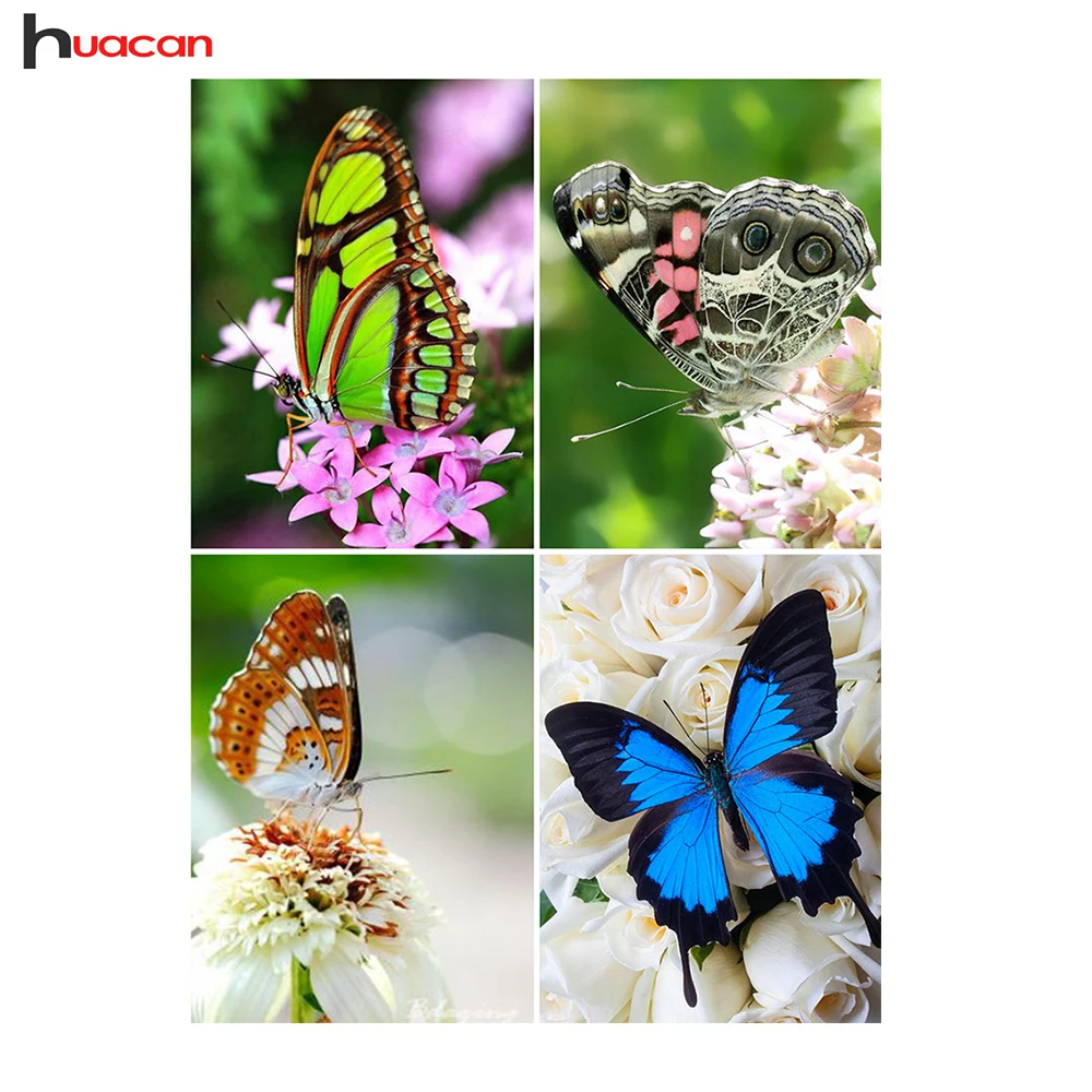 5D Diamond Embroidery Butterfly Full Round Diamond Painting Rhinestone Cross Stitch DIY Diamond Mosaic Hobby Home Decor
5D Diamond Embroidery Butterfly Full Round Diamond Painting Rhinestone Cross Stitch DIY Diamond Mosaic Hobby Home Decor
