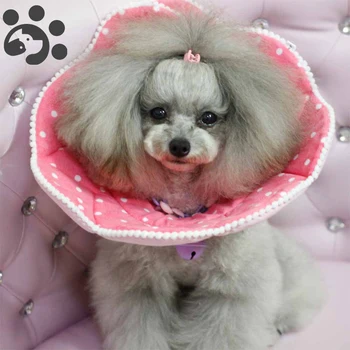 Medical Collar Elizabeth Collar Dog Cat Necklace Protection Elizabeth Circle Anti Bite Scratching Pet Accessories MP0077
Medical Collar Elizabeth Collar Dog Cat Necklace Protection Elizabeth Circle Anti Bite Scratching Pet Accessories MP0077