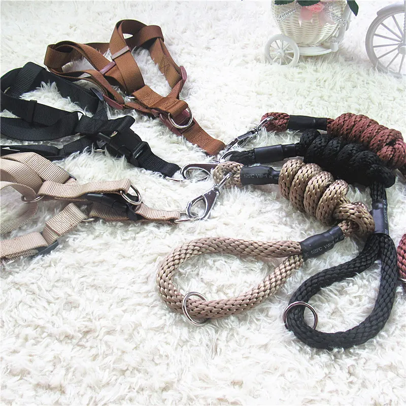 High Quality Large Dog collar rope set For Small Large Dogs Leashes safety Strong Lead Training Dog Leash Traction Rope
High Quality Large Dog collar rope set For Small Large Dogs Leashes safety Strong Lead Training Dog Leash Traction Rope