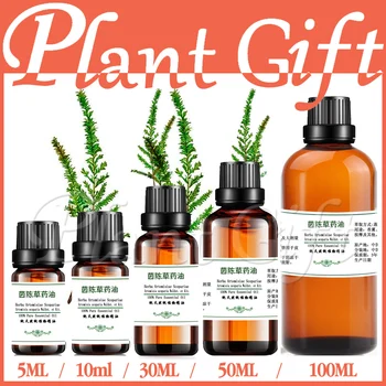 100% pure plant Herbal medicine oils Herba Artemisiae Scopariae herbal oil Essential oils traditional Chinese medicine oil
100% pure plant Herbal medicine oils Herba Artemisiae Scopariae herbal oil Essential oils traditional Chinese medicine oil