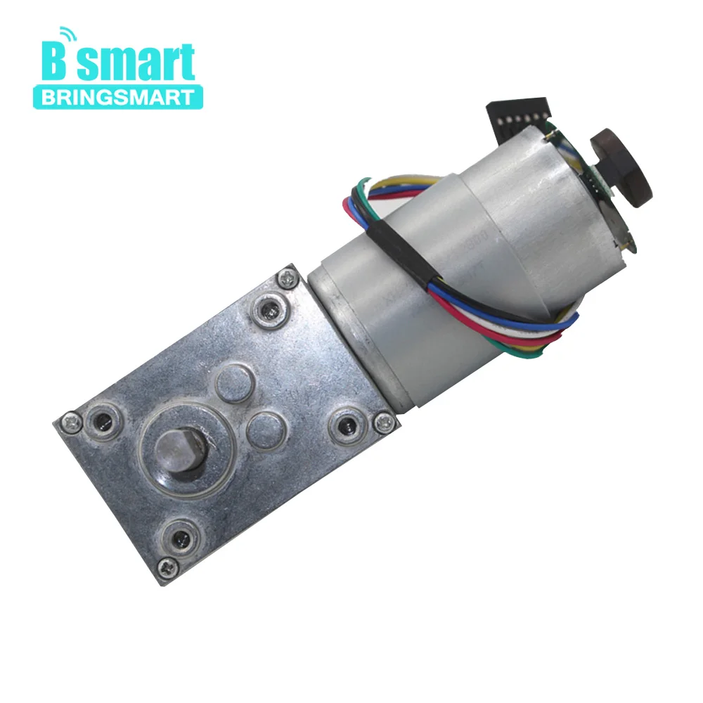 Bringsmart Double Shaft Mini Motor Encoder 24V Slow Speed Gearbox Brush Motor 12V DC Motor High Torque 5840-555B
Bringsmart Double Shaft Mini Motor Encoder 24V Slow Speed Gearbox Brush Motor 12V DC Motor High Torque 5840-555B