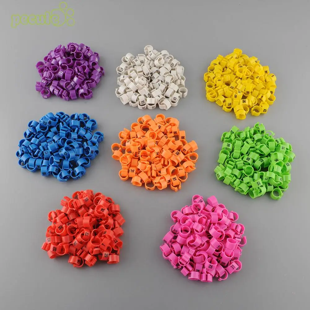 100Pcs Poultry Leg Bands Chicken Ring Hen Pigeon Leg Band Dove Birds Quail Goose Chicks Duck Parrot Clip RingsClip 1-100 Numbere
100Pcs Poultry Leg Bands Chicken Ring Hen Pigeon Leg Band Dove Birds Quail Goose Chicks Duck Parrot Clip RingsClip 1-100 Numbere