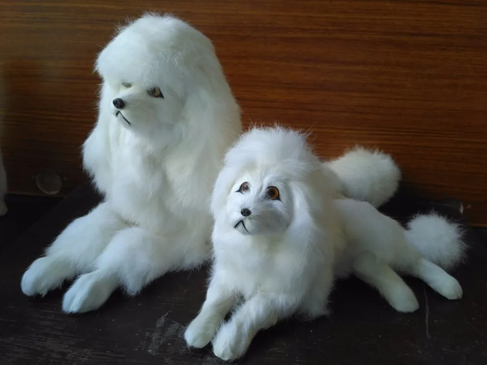 prone dog simulation white dog model polyethylene&furs poodle dog handicraft,home decoration toy d2760
prone dog simulation white dog model polyethylene&furs poodle dog handicraft,home decoration toy d2760