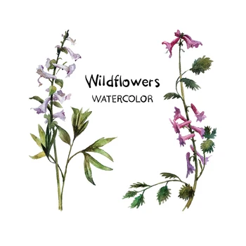 Pastoral style Wildflowers wall sticker living room home decoration mural plant art decals flower vine door stickers wallpaper
Pastoral style Wildflowers wall sticker living room home decoration mural plant art decals flower vine door stickers wallpaper