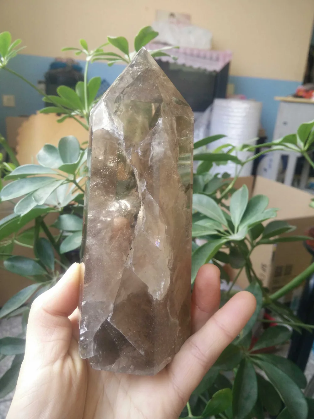 68059+++ Natural tea crystal crystal column * house from evil spirits ornaments degaussing radiation clean air
68059+++ Natural tea crystal crystal column * house from evil spirits ornaments degaussing radiation clean air