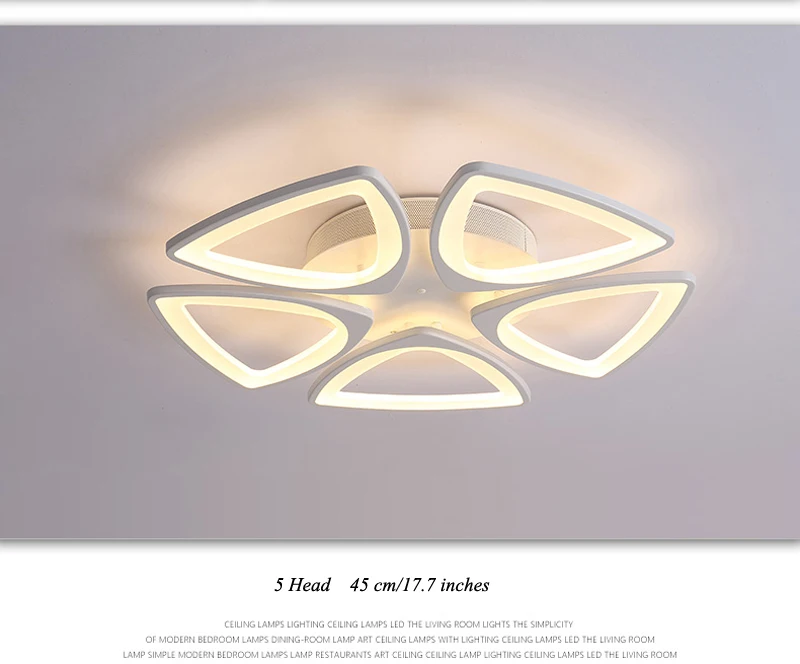 modern ceiling light (33)