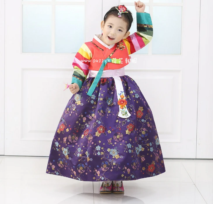 Girl Korean Traditional Costume Children Minority Folk Ancient Korea Hanbok Kids Show Stage Dance Clothing Asian Hanbok Dress
Girl Korean Traditional Costume Children Minority Folk Ancient Korea Hanbok Kids Show Stage Dance Clothing Asian Hanbok Dress