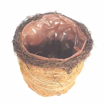 Coir Succulent Outdoor Basket Flower Pots Coco Coir Liner Flower Basket For Garden Porch Decoration Home Garden Supplies
Coir Succulent Outdoor Basket Flower Pots Coco Coir Liner Flower Basket For Garden Porch Decoration Home Garden Supplies