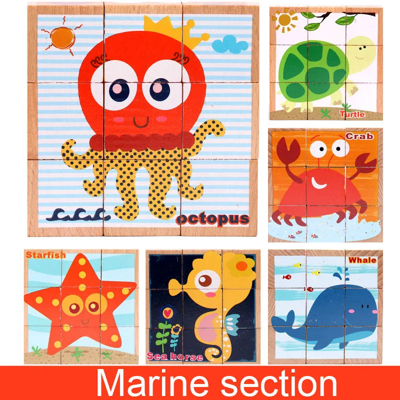 Marine section