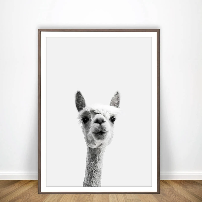 Llama Print and Poster Wall Art Alpaca Decor, Llama Art Canvas Painting Alpaca Picture Living Room Decoration
Llama Print and Poster Wall Art Alpaca Decor, Llama Art Canvas Painting Alpaca Picture Living Room Decoration