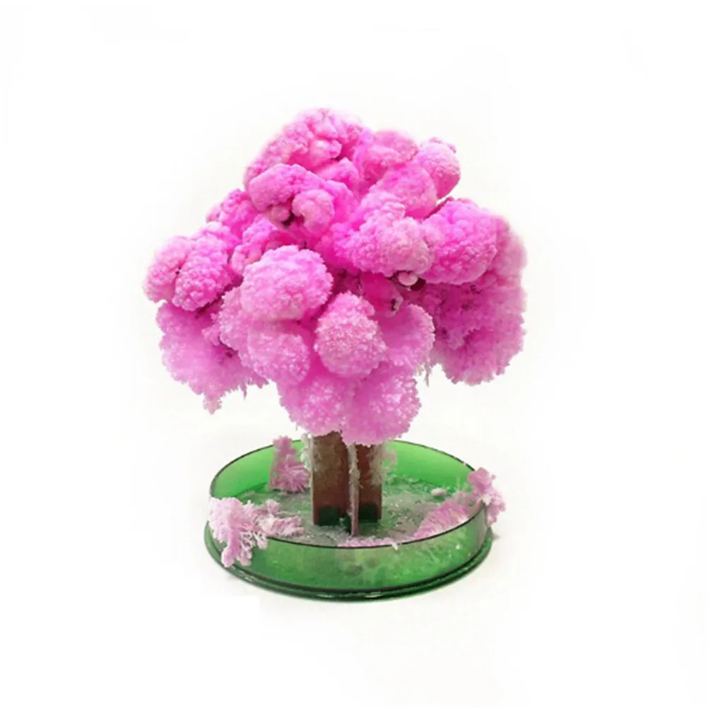 New 12*8cm Made in Japan Pink Magically Decorative Growing Paper Trees Magic Japanese Sakura Tree-Brand
New 12*8cm Made in Japan Pink Magically Decorative Growing Paper Trees Magic Japanese Sakura Tree-Brand