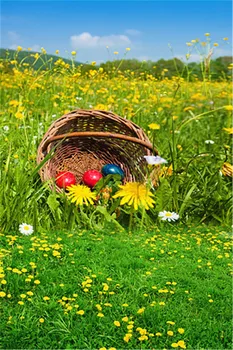 3x5ft New Photography Backdrops Easter Background Eggs Basket Seamless Grass Daisy Blue Sky Photo Background for Photo Studio
3x5ft New Photography Backdrops Easter Background Eggs Basket Seamless Grass Daisy Blue Sky Photo Background for Photo Studio
