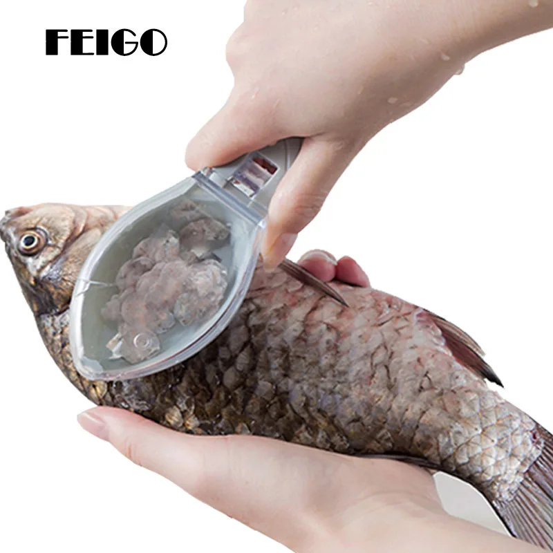 FEIGO 1Pc Multifunctional Fish Clean Scales Fish Killing Knife Scraping Scale Clear Cover Fish Scaler Kitchen Cooking Tools F753
FEIGO 1Pc Multifunctional Fish Clean Scales Fish Killing Knife Scraping Scale Clear Cover Fish Scaler Kitchen Cooking Tools F753