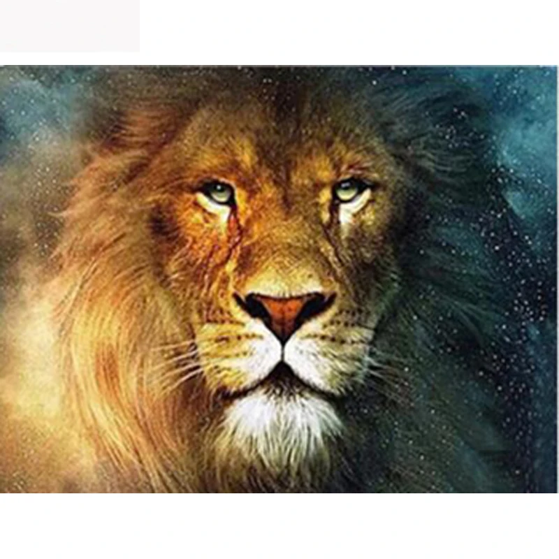 H1105 full diamond painting,full square diamond mosaic,diamond painting square Lion
H1105 full diamond painting,full square diamond mosaic,diamond painting square Lion