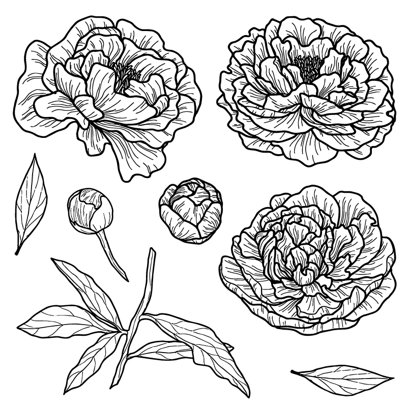 Flower Blossom Silicone Clear Stamps/Seal For DIY Scrapbooking Decorative Card Making Craft Fun Decoration Supplies
Flower Blossom Silicone Clear Stamps/Seal For DIY Scrapbooking Decorative Card Making Craft Fun Decoration Supplies
