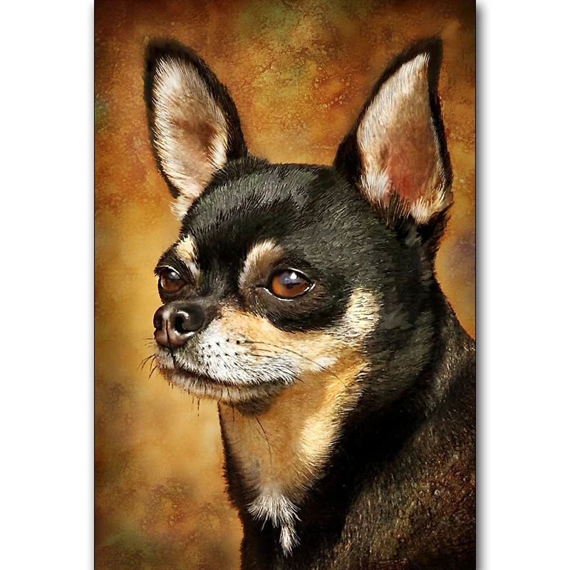 New dIY Diamond embroidery 5D Full Square Diamond Painting Chihuahua Cross Stitch Animal Pictures Of Rhinestones Mosaic Decor
New dIY Diamond embroidery 5D Full Square Diamond Painting Chihuahua Cross Stitch Animal Pictures Of Rhinestones Mosaic Decor