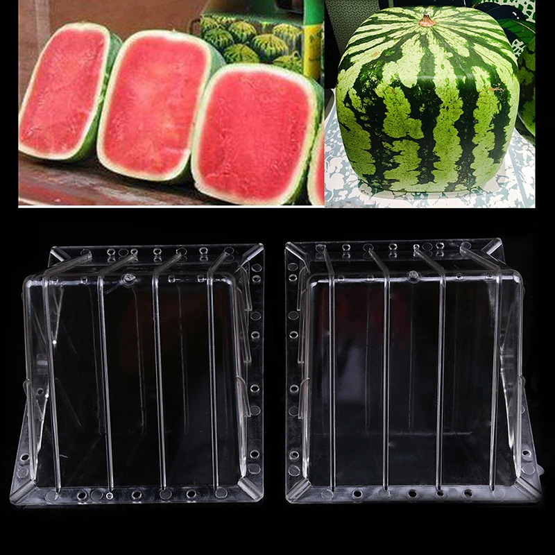 WHISM Big Size Clear Heart Square Growing Mold Watermelon Transparent Fruit Growth Forming Shaping Mold Garden Supplier
WHISM Big Size Clear Heart Square Growing Mold Watermelon Transparent Fruit Growth Forming Shaping Mold Garden Supplier