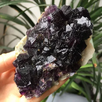 296g Hot sale Natural COLORFUL quartz CRYSTAL CLUSTER Mineral purple FLUORITE Specimen
296g Hot sale Natural COLORFUL quartz CRYSTAL CLUSTER Mineral purple FLUORITE Specimen