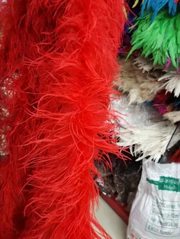 Whosale 5pcs/lot 2m long 5ply Wholesale feathers! high quality natural ostrich feather python decoration wedding ostrich BOA
Whosale 5pcs/lot 2m long 5ply Wholesale feathers! high quality natural ostrich feather python decoration wedding ostrich BOA