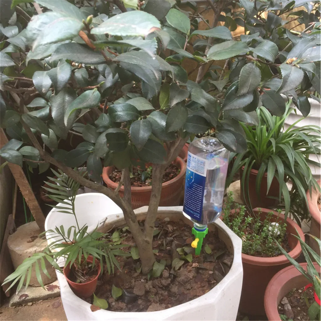 8Pcs Plant Water Dispenser Automatic Watering Adjustable Drip Irrigation Device PVC Flower Pot Indoor Drip irrigation blue green
8Pcs Plant Water Dispenser Automatic Watering Adjustable Drip Irrigation Device PVC Flower Pot Indoor Drip irrigation blue green